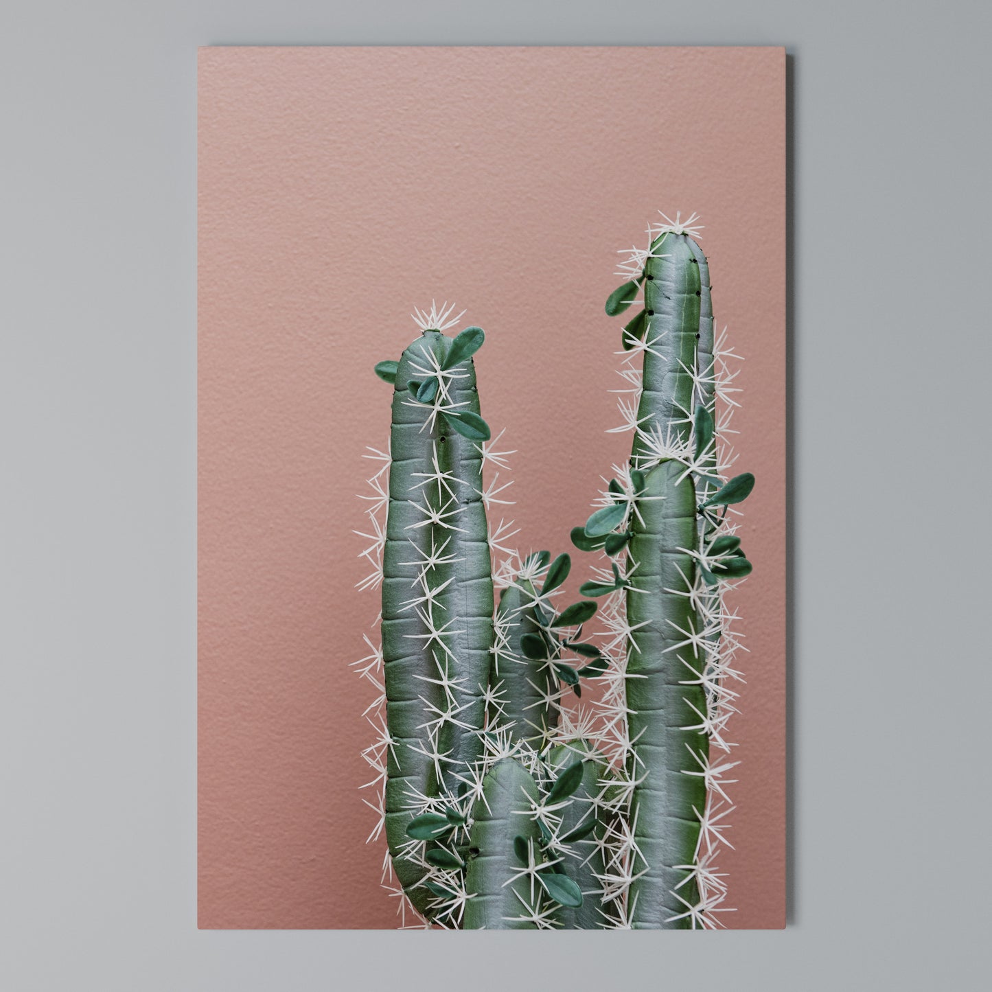 LORD CACTUS Stampa su Tela Verticale