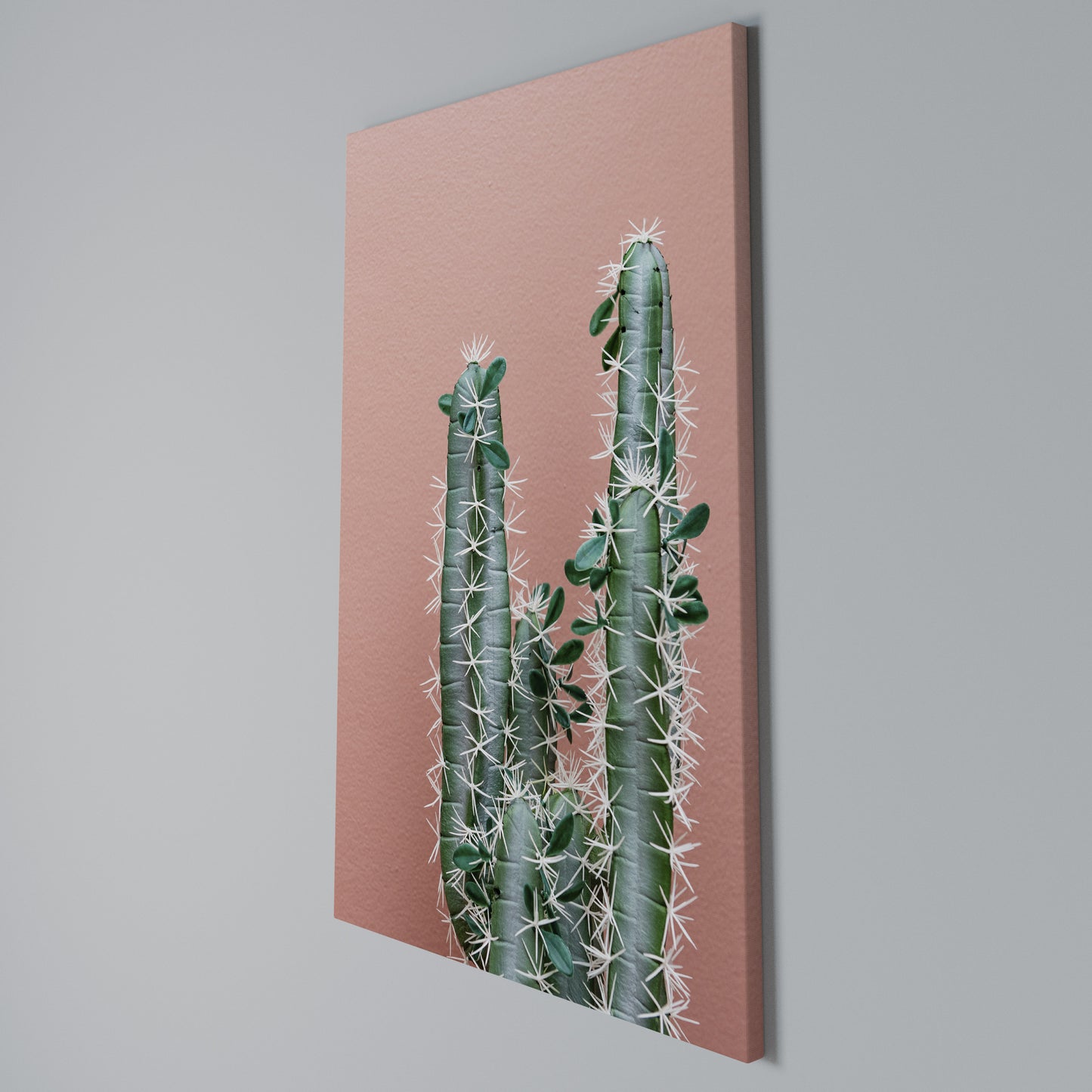 LORD CACTUS Stampa su Tela Verticale