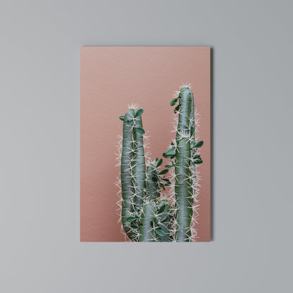 LORD CACTUS Stampa su Tela Verticale
