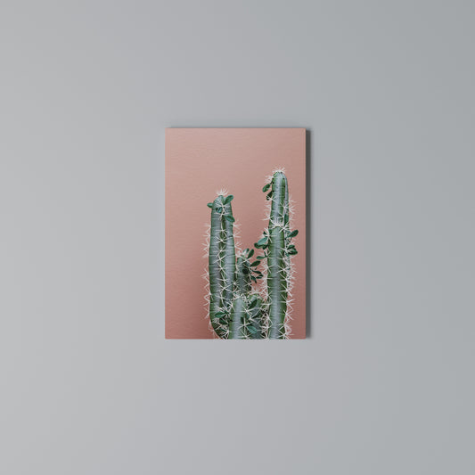 LORD CACTUS Stampa su Tela Verticale