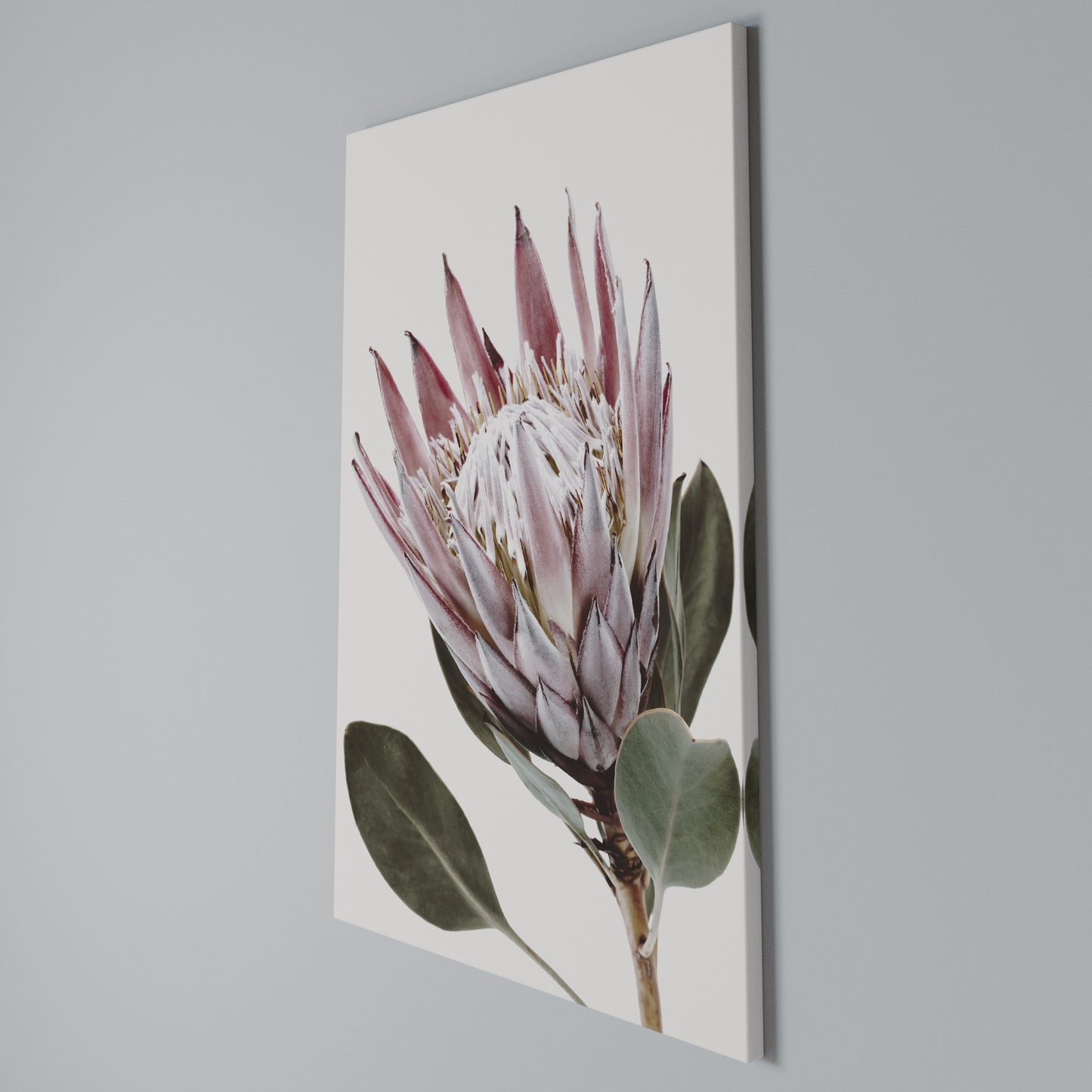PROTEA FLOWER Vertical Canvas Print