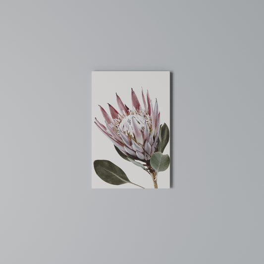 PROTEA FLOWER Stampa su Tela Verticale