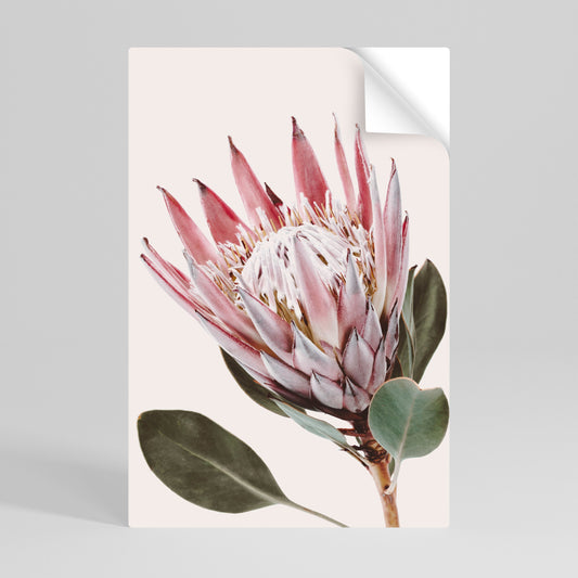 Poster verticale staccabile e attaccabile PROTEA FLOWER
