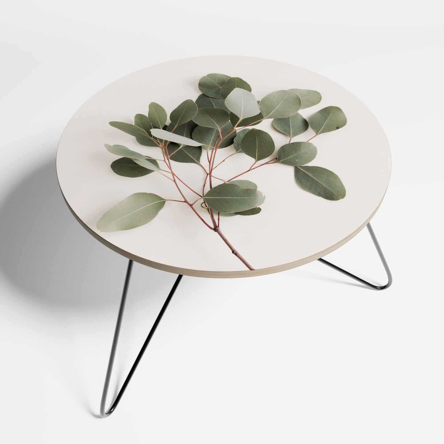 EUCALYPTUS BRANCH Small Coffee Table