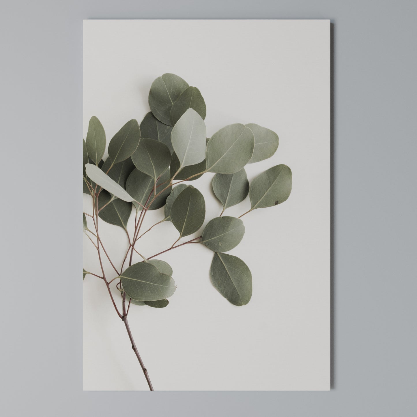EUCALYPTUS BRANCH Stampa su Tela Verticale