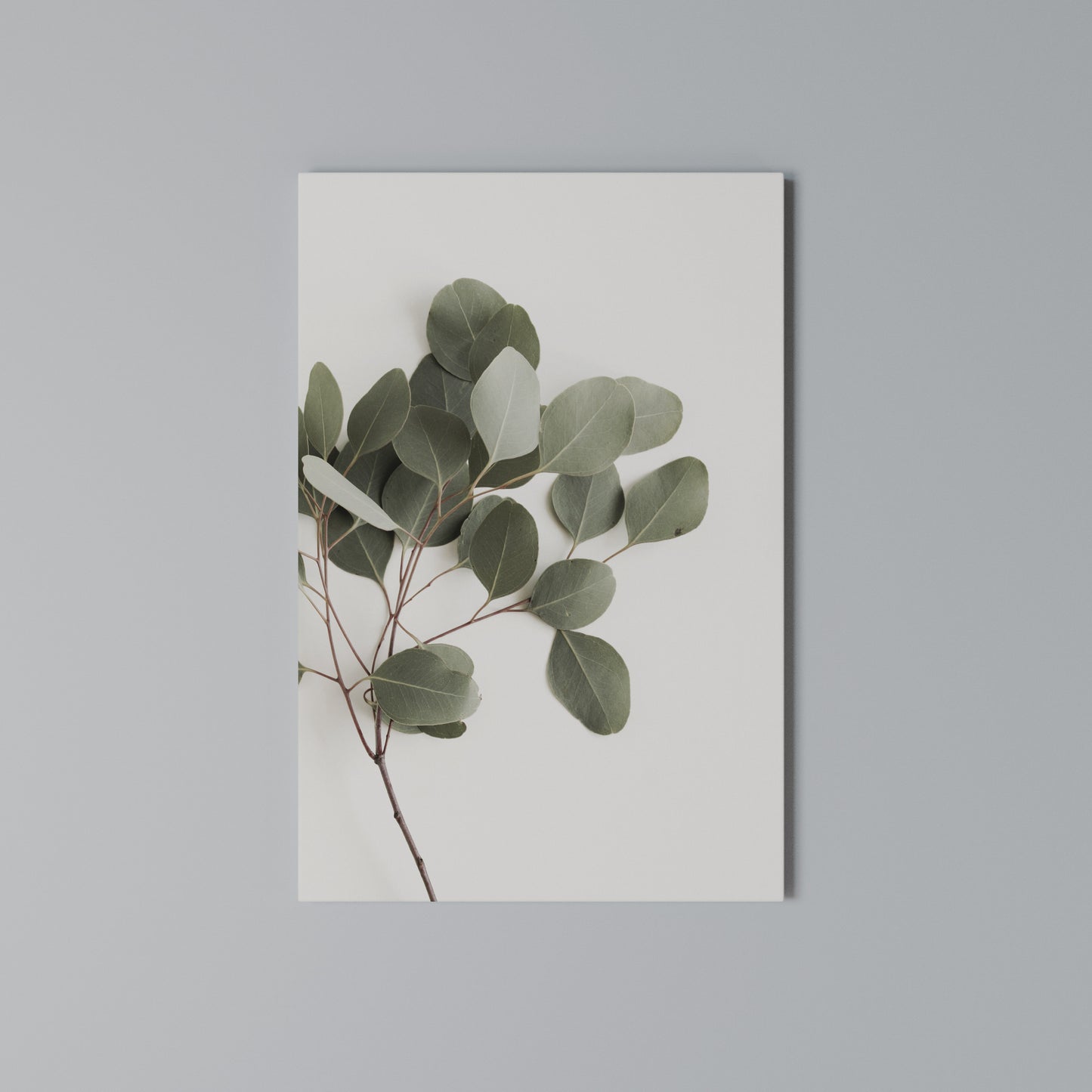 EUCALYPTUS BRANCH Stampa su Tela Verticale