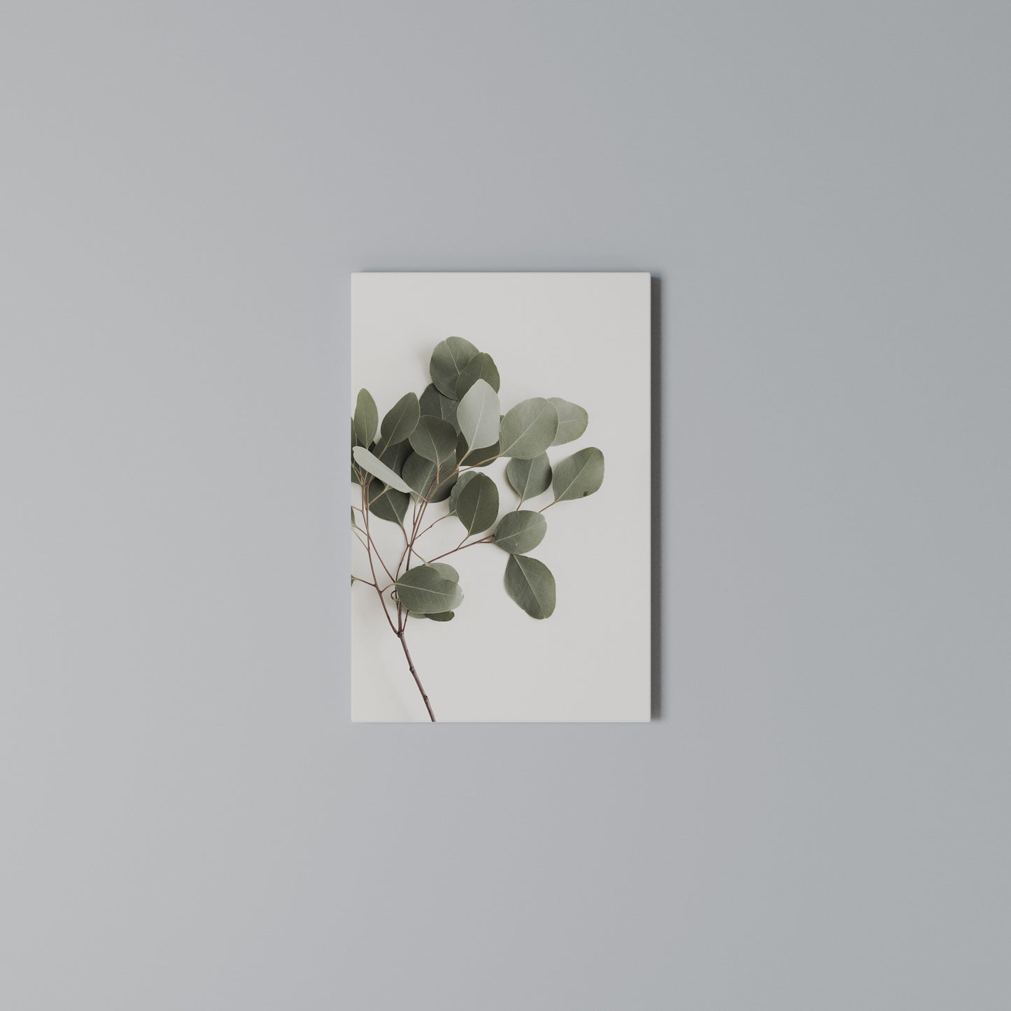 EUCALYPTUS BRANCH Stampa su Tela Verticale