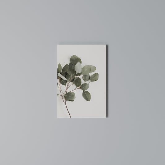 EUCALYPTUS BRANCH Stampa su Tela Verticale