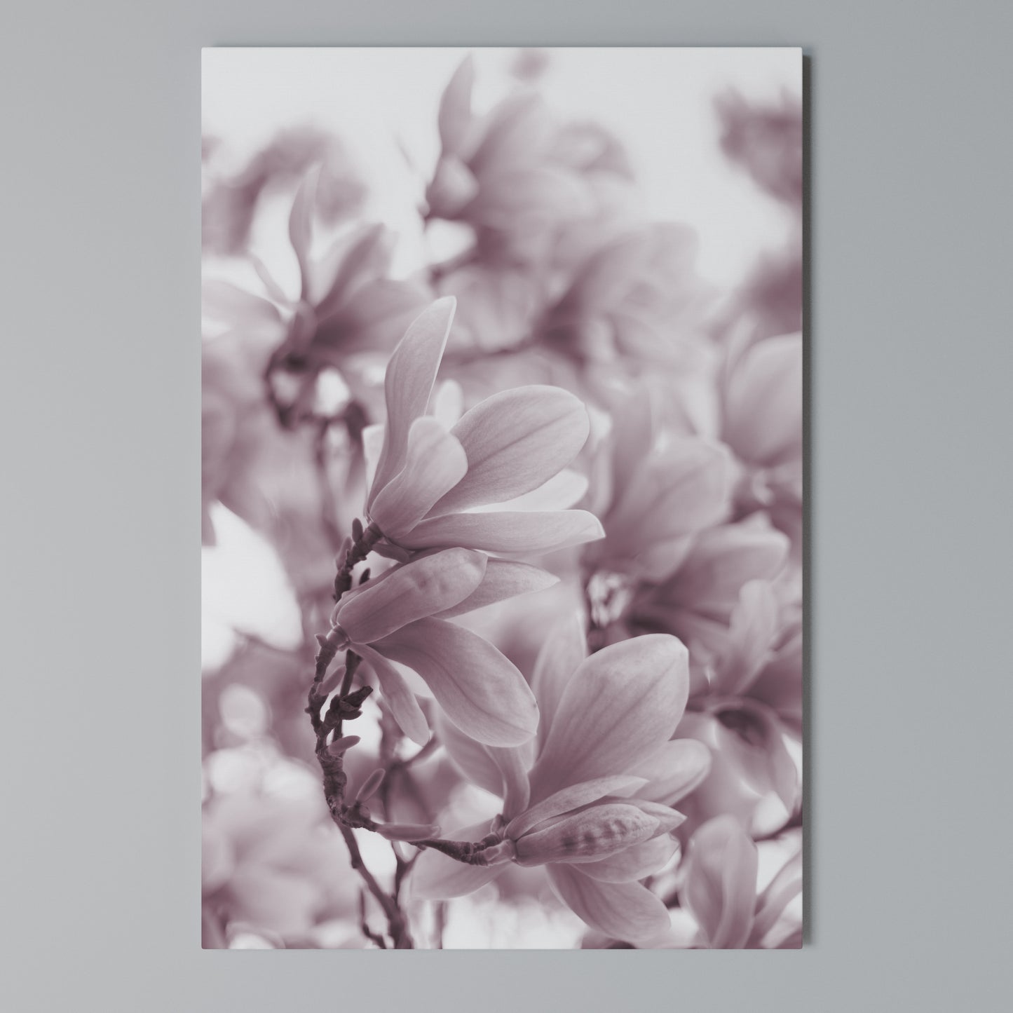 PINK BLOSSOM DREAM Stampa su Tela Verticale