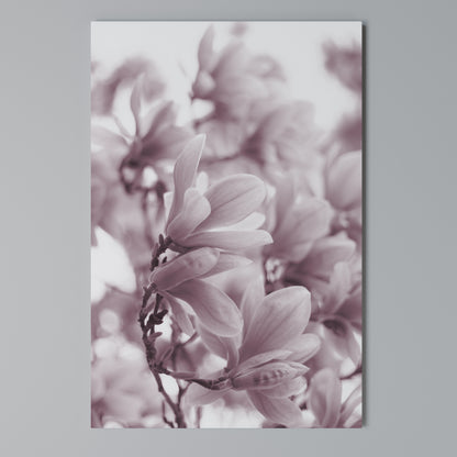 PINK BLOSSOM DREAM Stampa su Tela Verticale