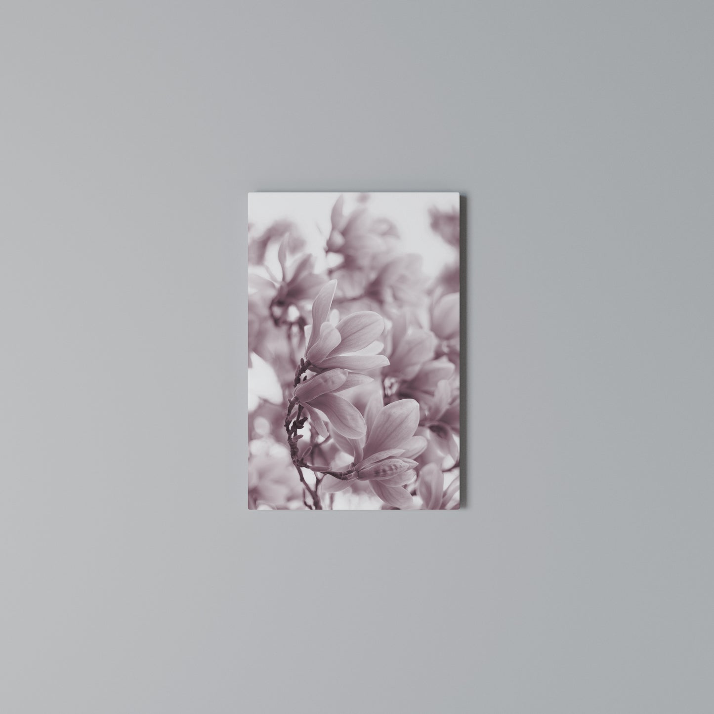 PINK BLOSSOM DREAM Stampa su Tela Verticale