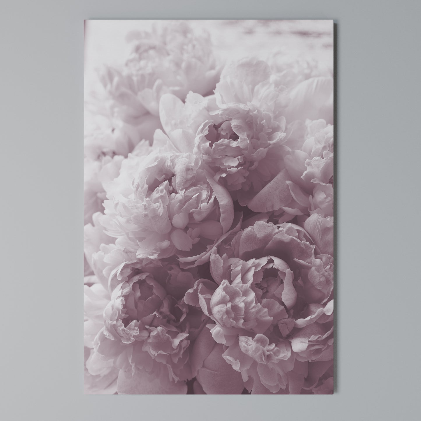 BLUSHED SERENITY Stampa su Tela Verticale