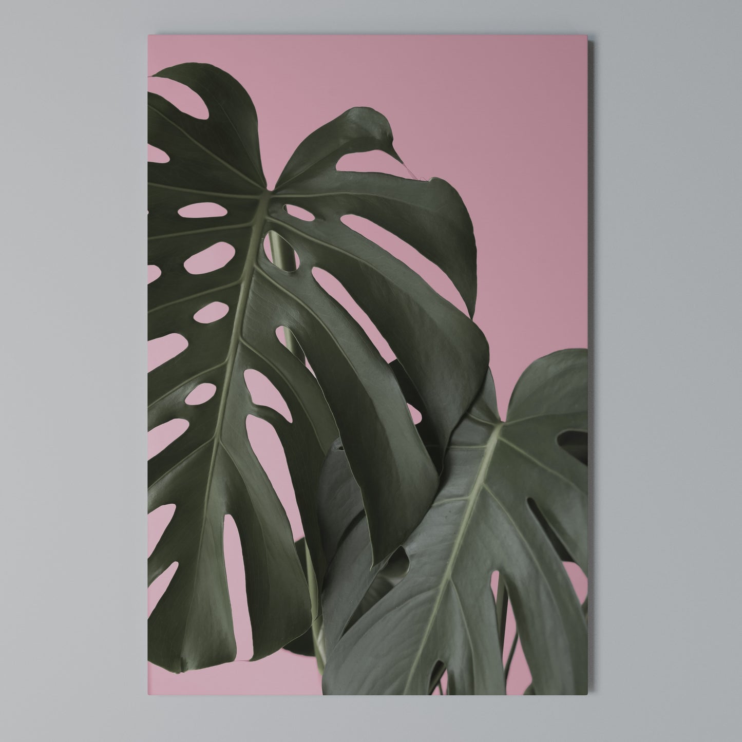 LADY MONSTERA Stampa su Tela Verticale