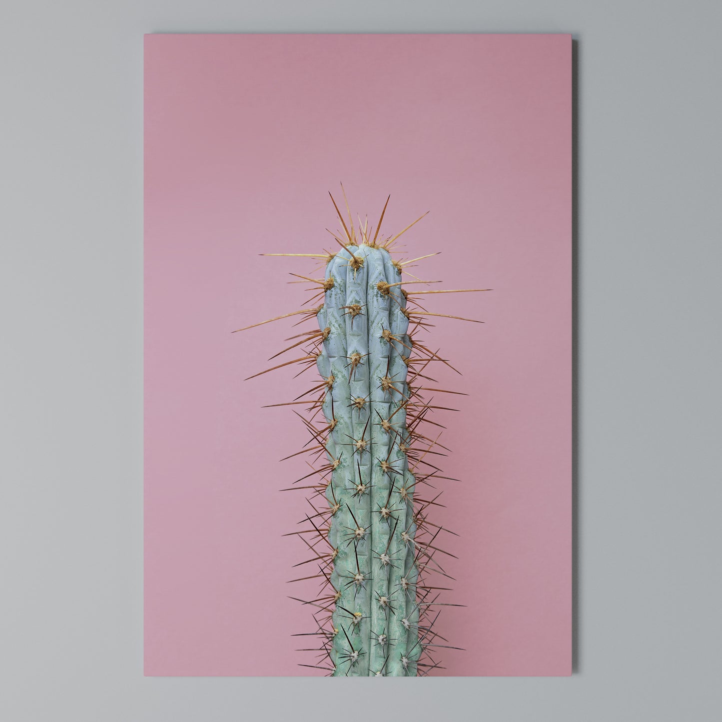 MISTER CACTUS Stampa su Tela Verticale