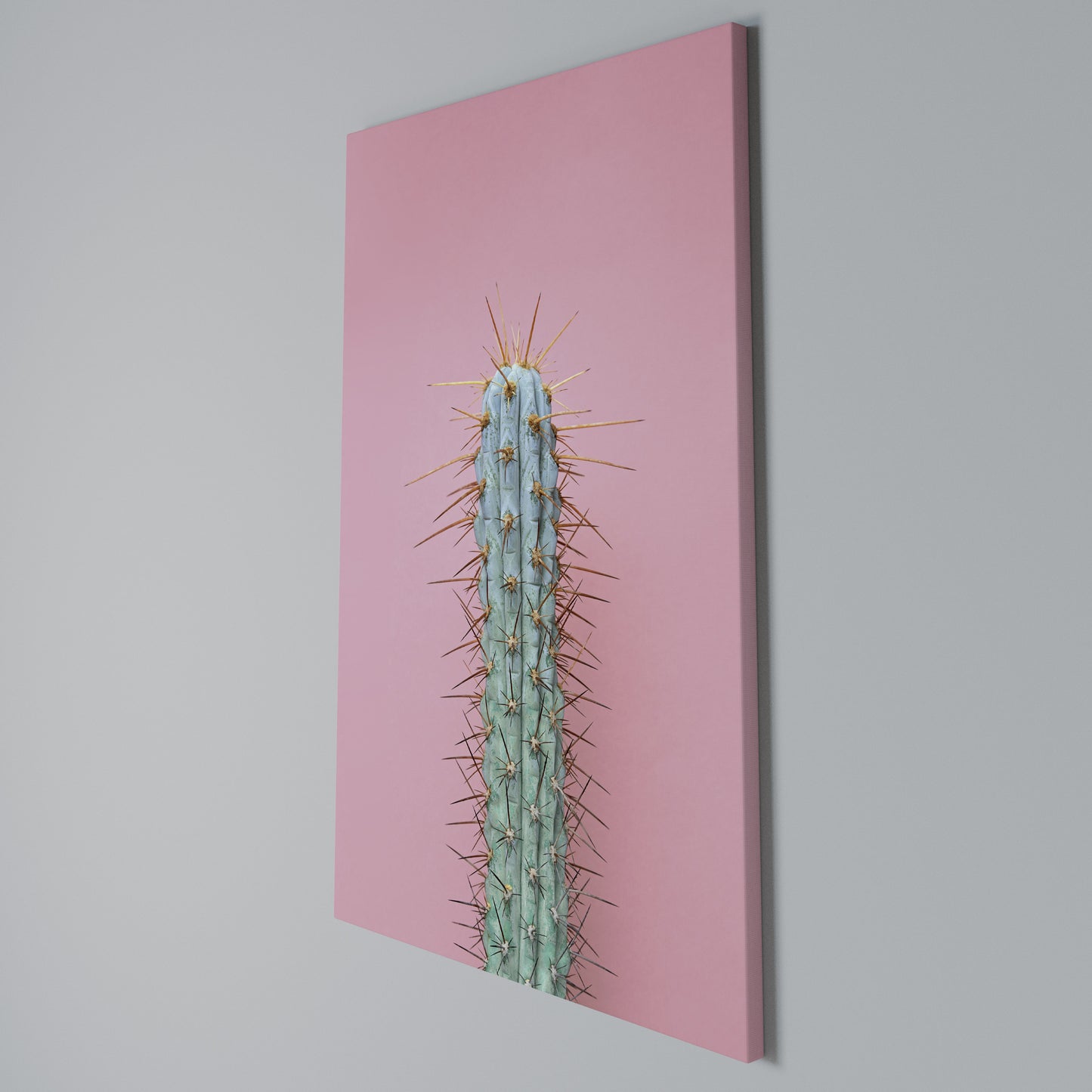 MISTER CACTUS Stampa su Tela Verticale