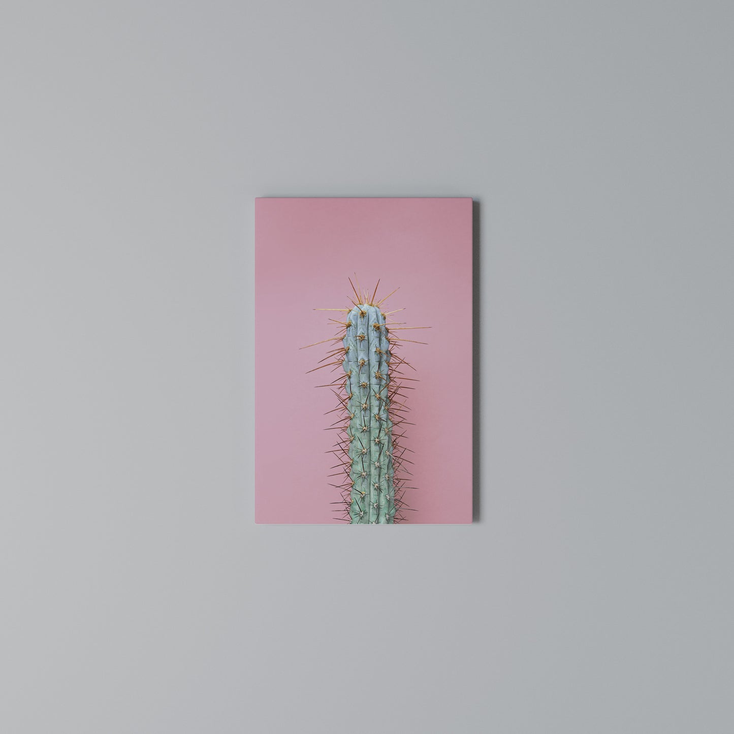 MISTER CACTUS Stampa su Tela Verticale