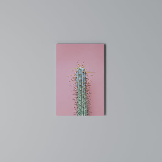 MISTER CACTUS Stampa su Tela Verticale
