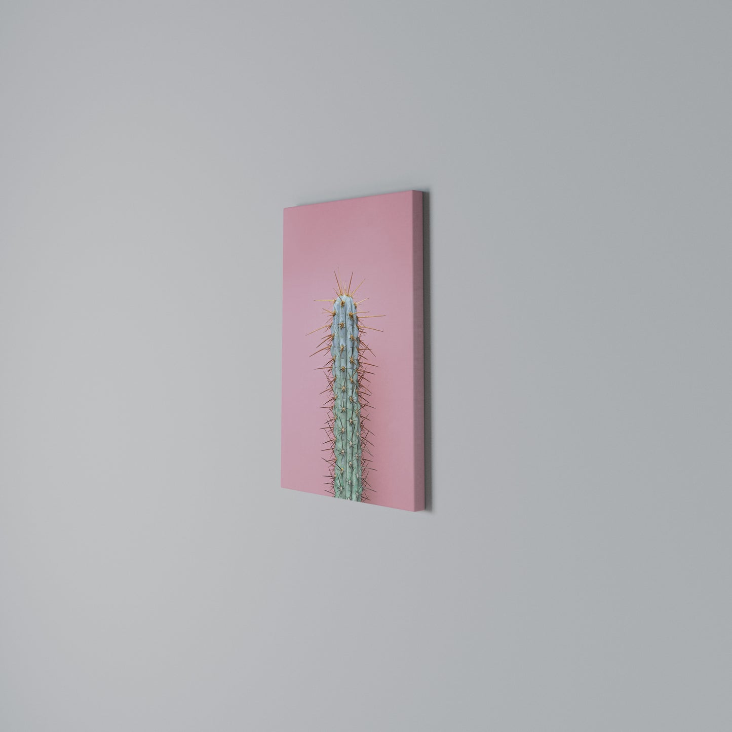 MISTER CACTUS Stampa su Tela Verticale