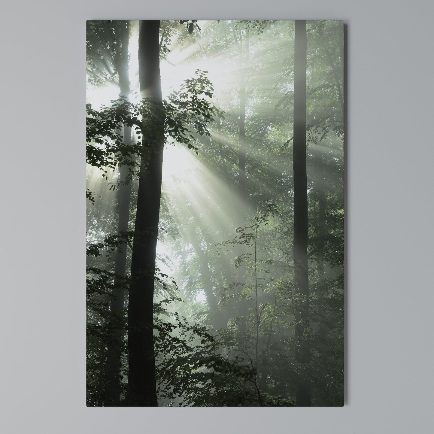 MYSTICAL SUNBEAMS Stampa su Tela Verticale