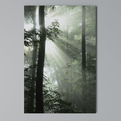 MYSTICAL SUNBEAMS Stampa su Tela Verticale