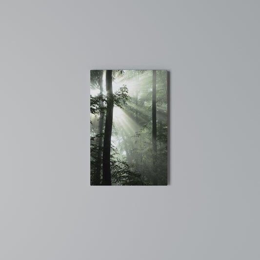 MYSTICAL SUNBEAMS Stampa su Tela Verticale