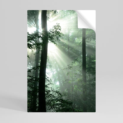 Poster verticale staccabile e attaccabile "MYSTICAL SUNBEAMS"