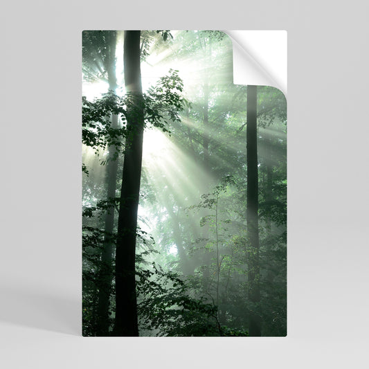 Poster verticale staccabile e attaccabile "MYSTICAL SUNBEAMS"