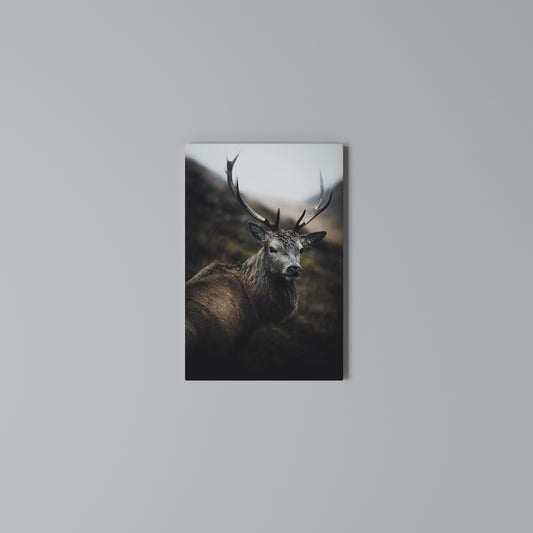 ELEGANT WILDERNESS GUARDIAN Stampa su Tela Verticale