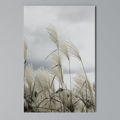 CLOUDS ABOVE GRASS Stampa su Tela Verticale