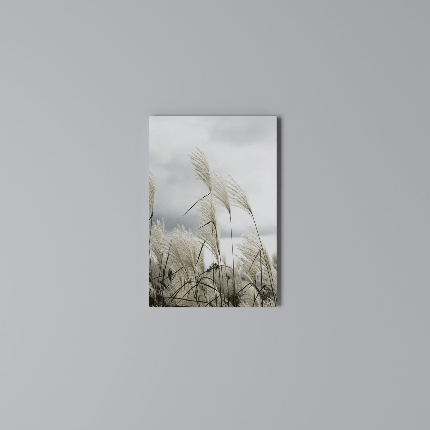 CLOUDS ABOVE GRASS Stampa su Tela Verticale