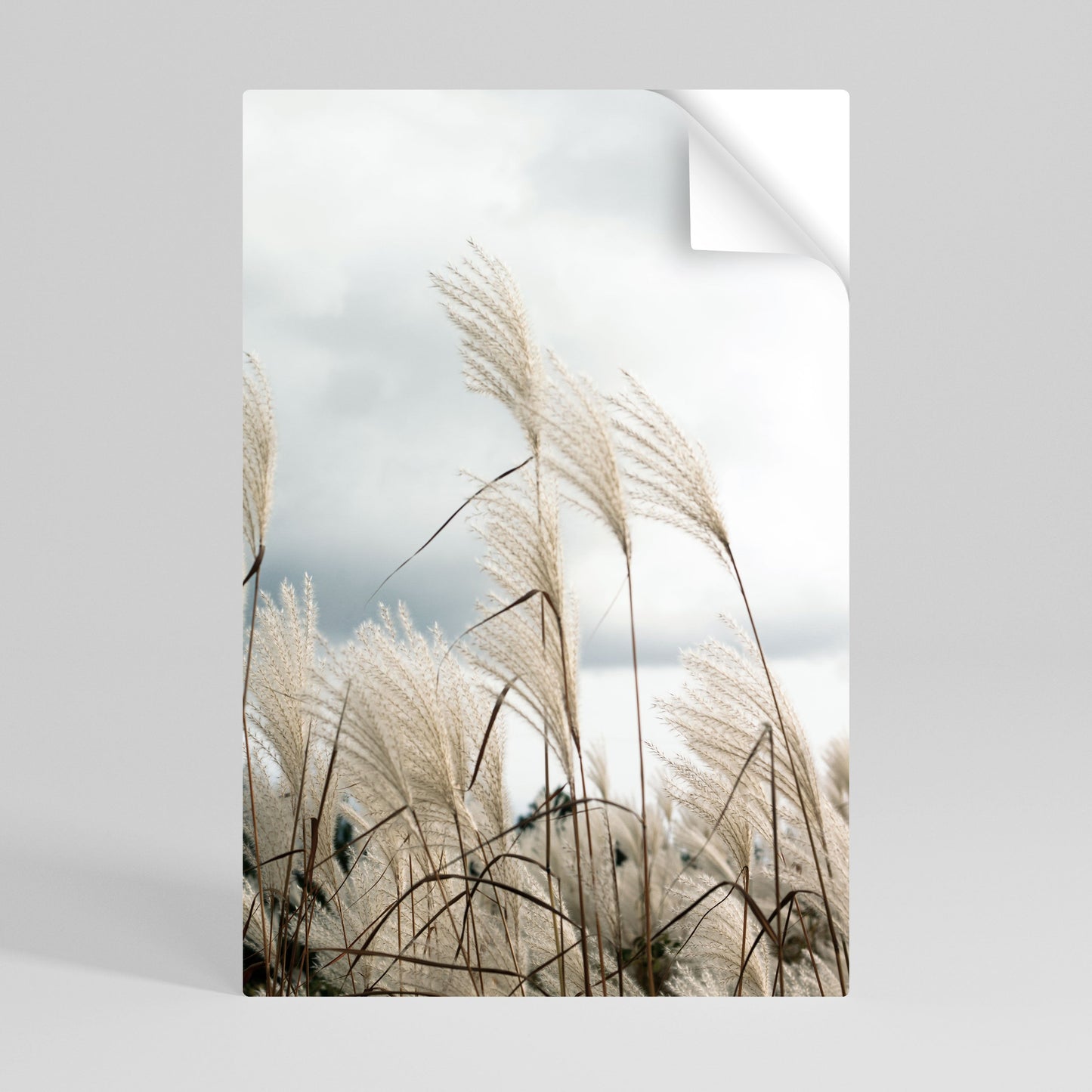 Poster verticale staccabile e attaccabile "NUVOLE SOPRA L'ERBA"
