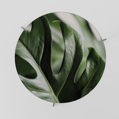Tavolino da caffè SHARP MONSTERA 69