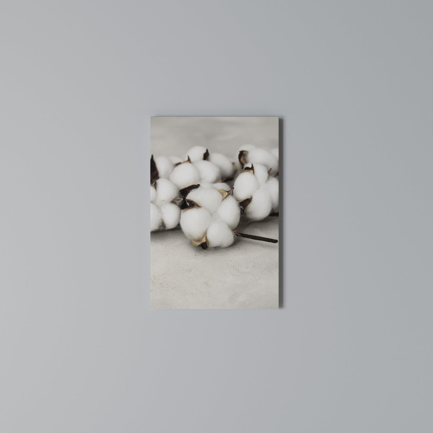 COTTON CLOUDS WHISPERS Stampa su Tela Verticale