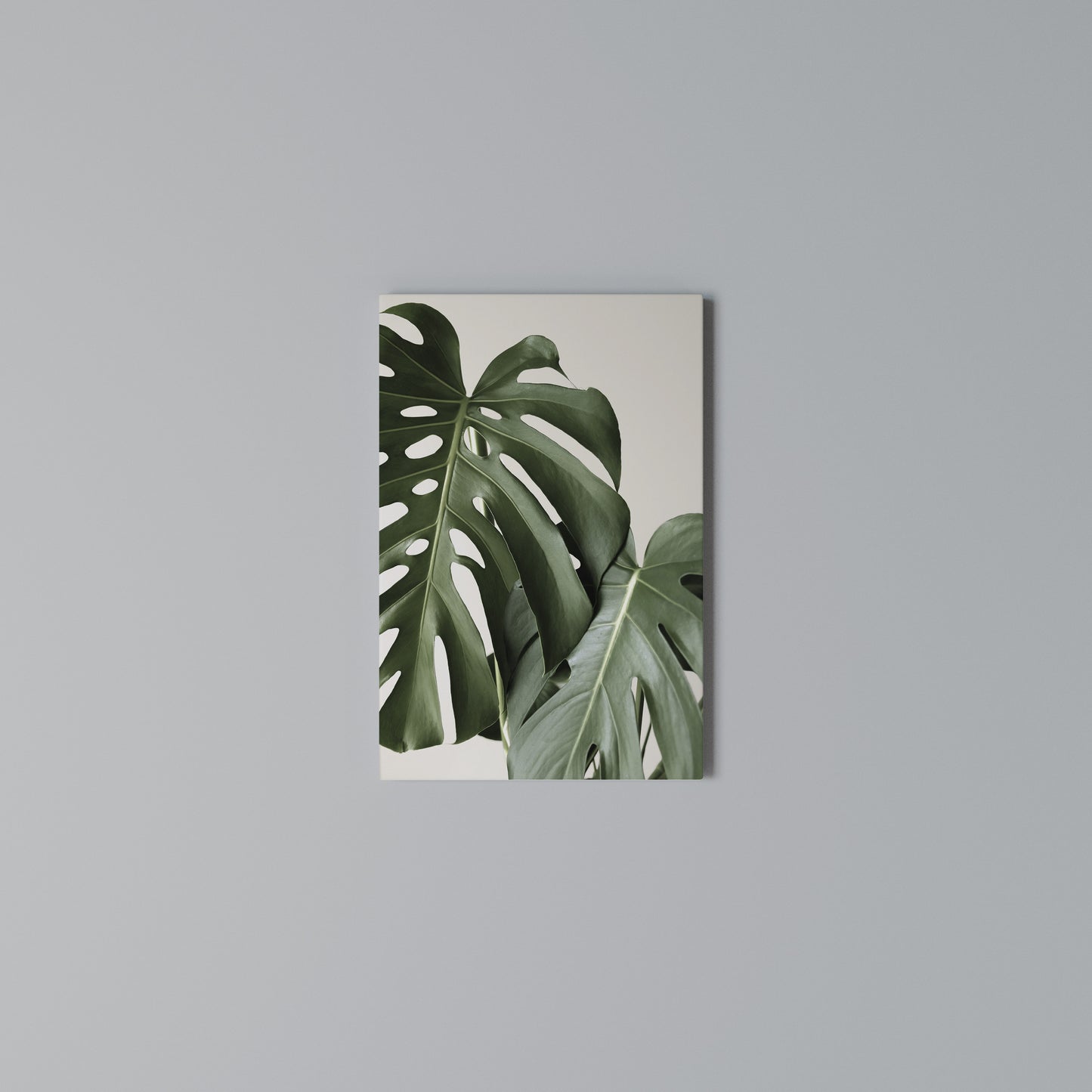 MONSTERA ACCURACY Vertical Canvas Print