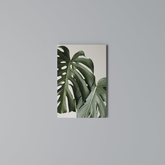 MONSTERA ACCURACY Stampa su Tela Verticale