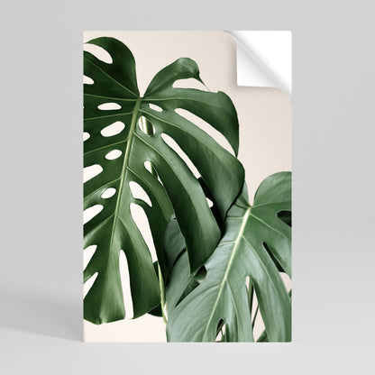 Poster verticale staccabile e attaccabile MONSTERA ACCURACY