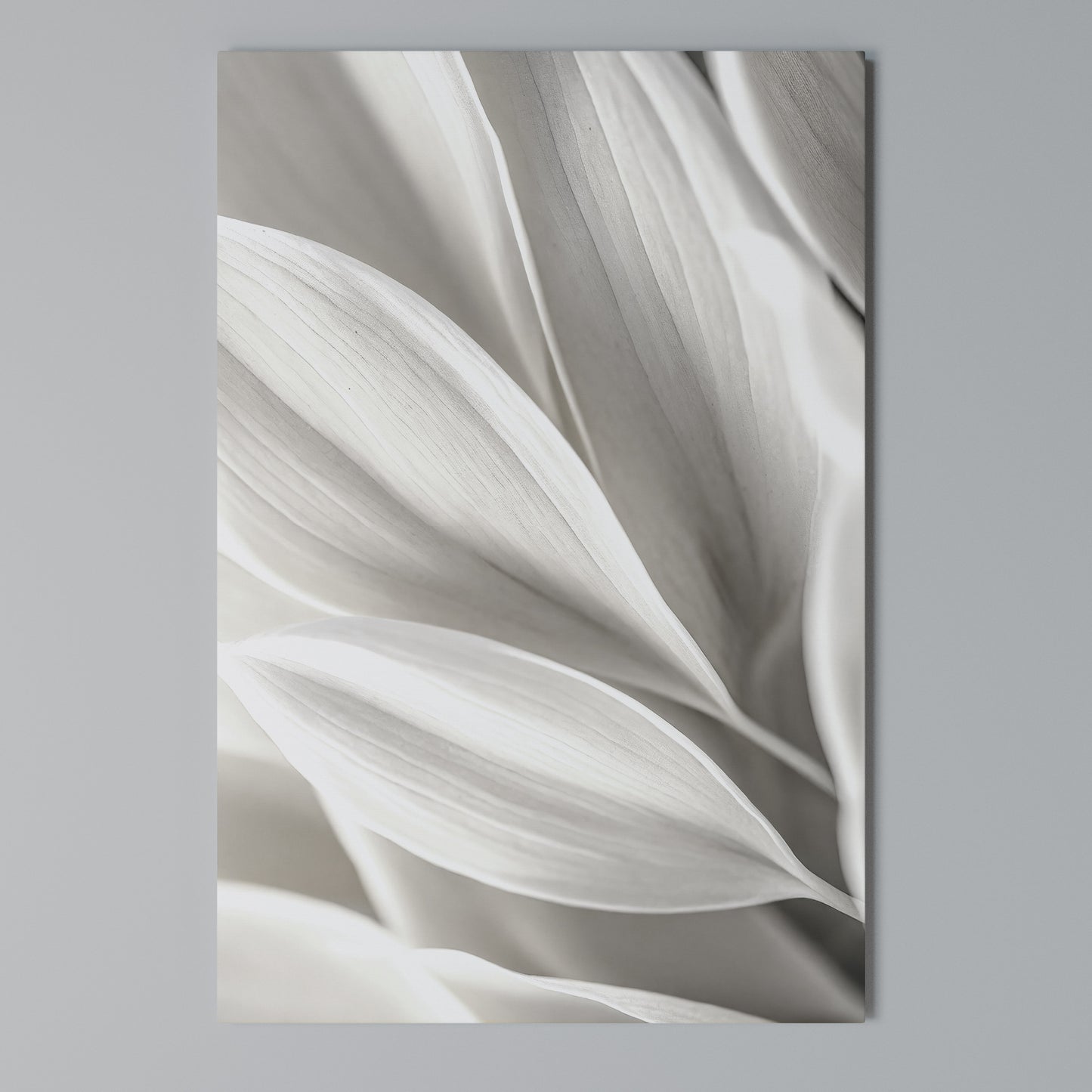 WHISPERS OF WHITE Stampa su Tela Verticale