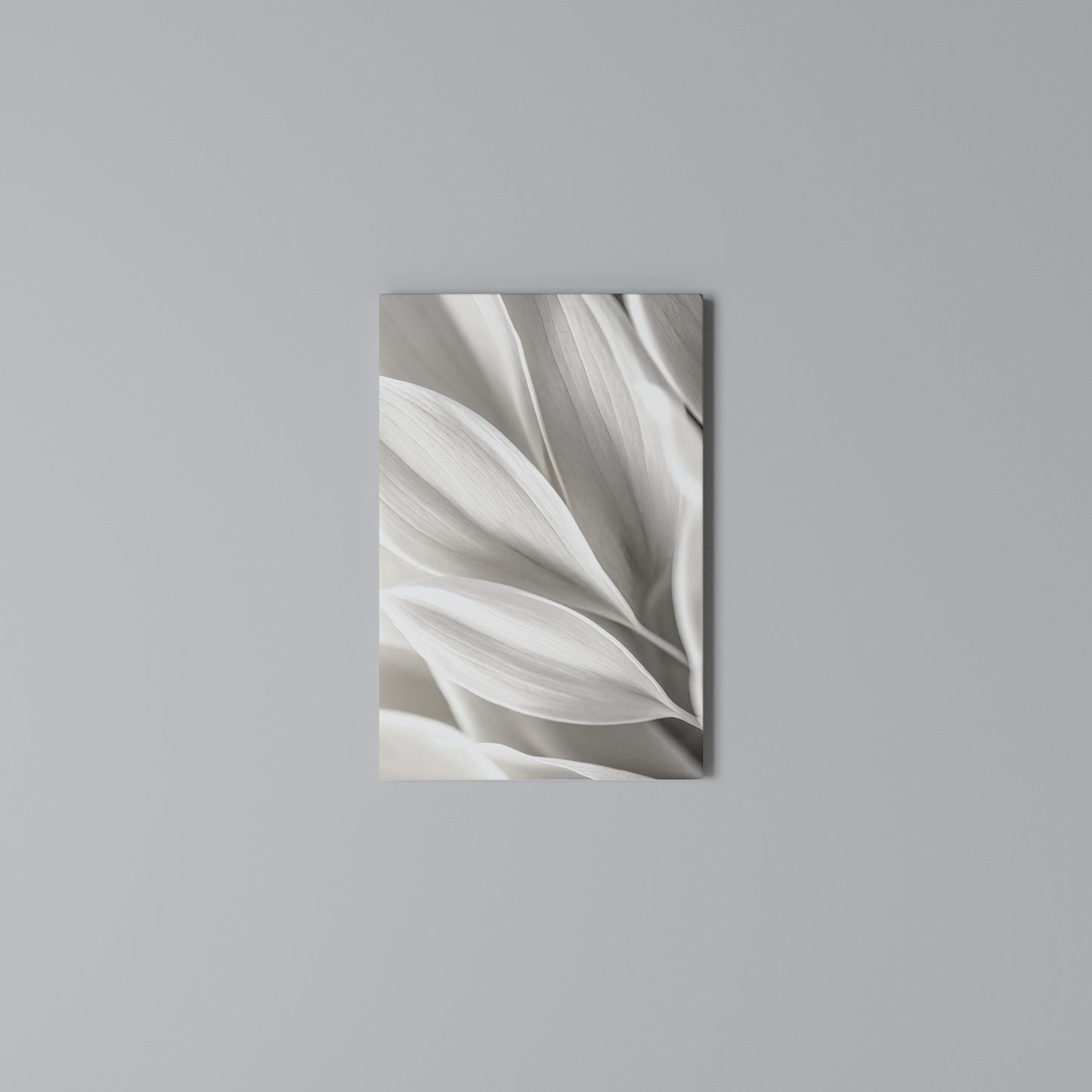 WHISPERS OF WHITE Stampa su Tela Verticale