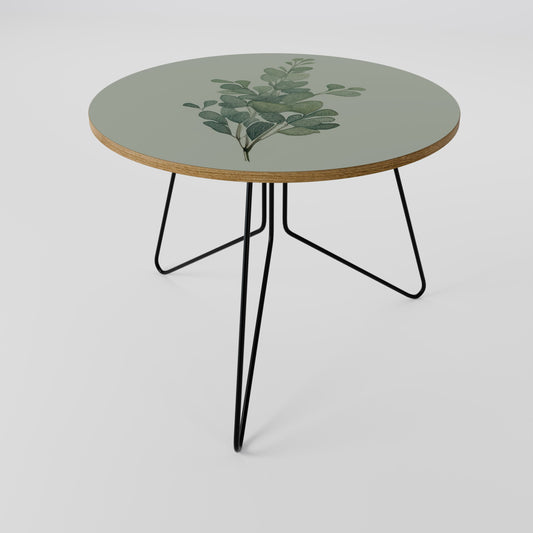 Tavolino da caffè EUCALYPTUS TWIG 69