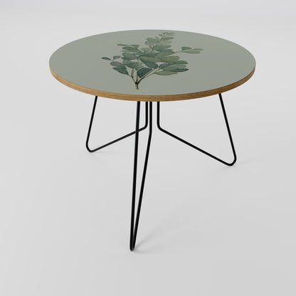 Tavolino da caffè EUCALYPTUS TWIG 69