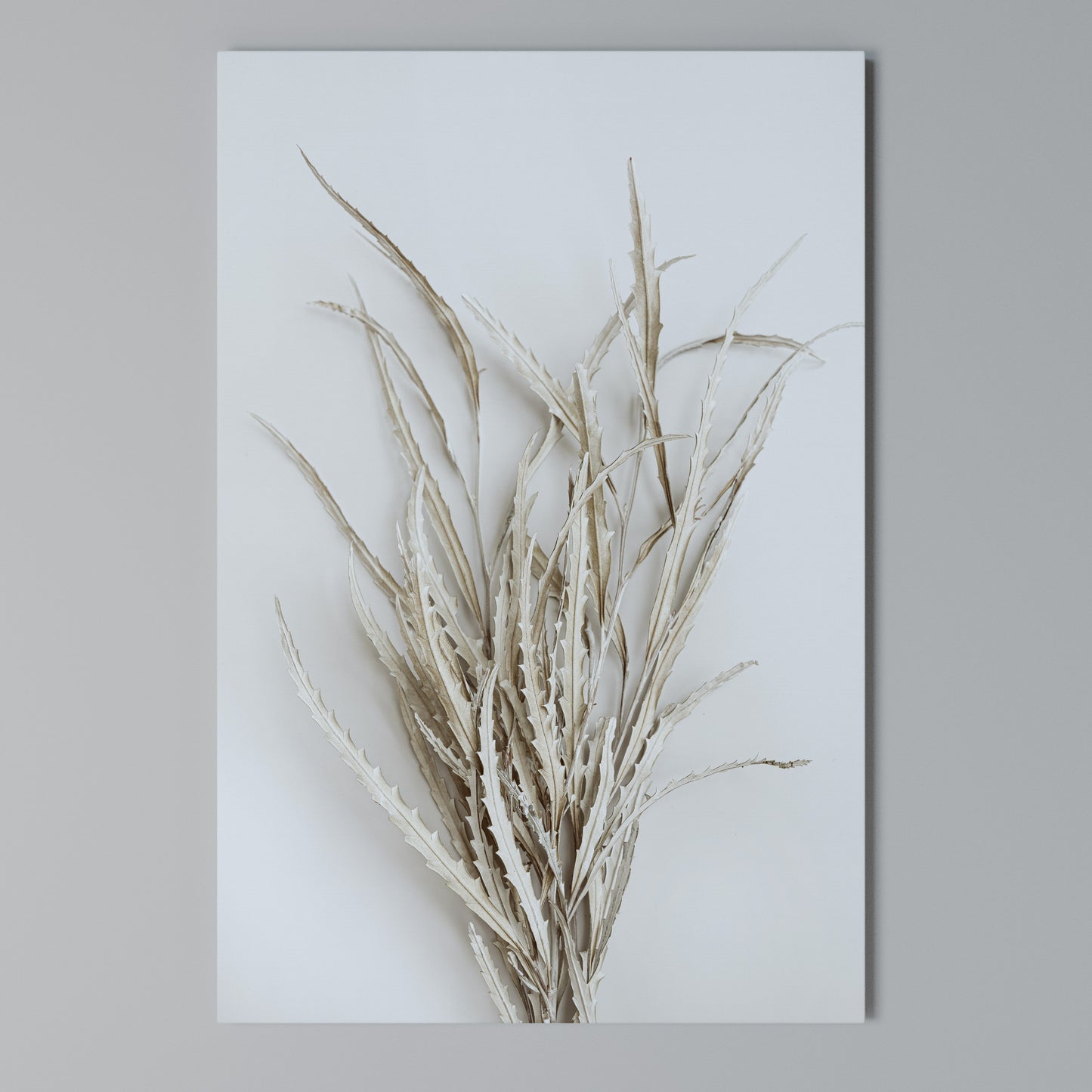 DRIED DREAMS DISPLAY Stampa su Tela Verticale