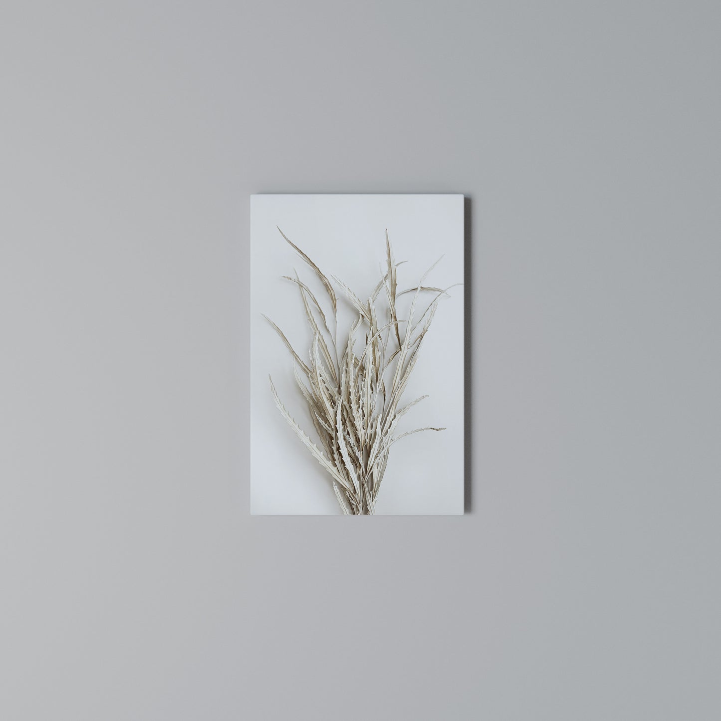 DRIED DREAMS DISPLAY Stampa su Tela Verticale