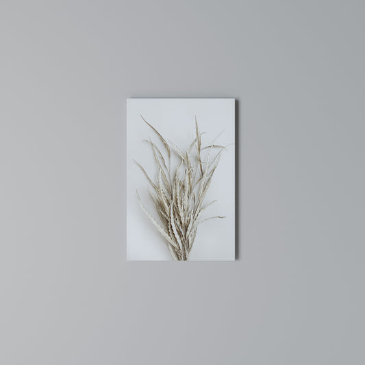DRIED DREAMS DISPLAY Stampa su Tela Verticale