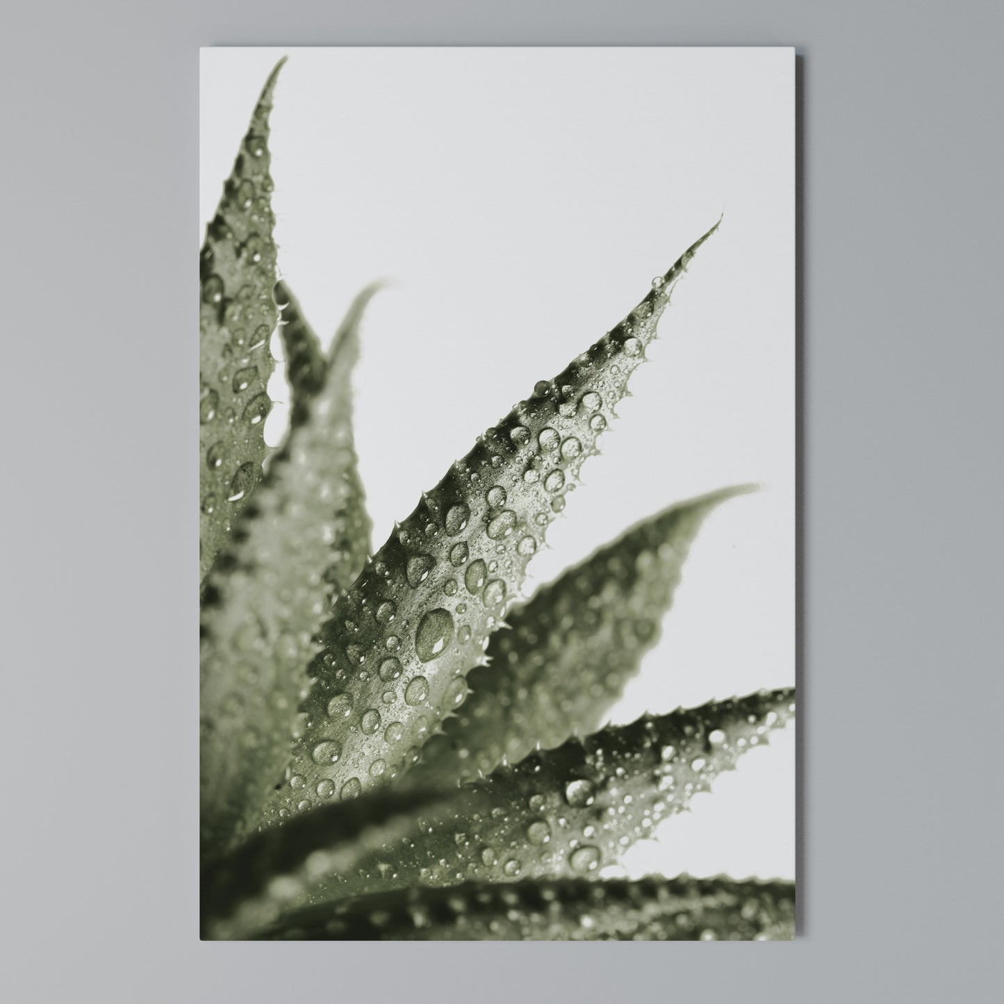 DEWDROP SYMPHONY Vertical Canvas Print
