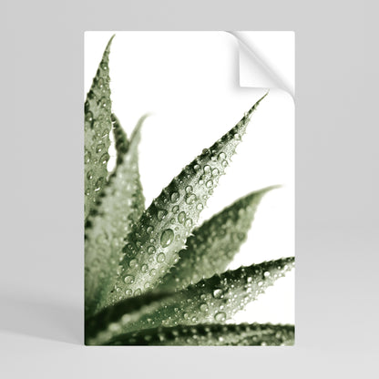 Poster verticale staccabile e attaccabile DEWDROP SYMPHONY