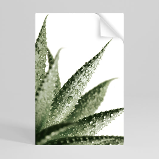 Poster verticale staccabile e attaccabile DEWDROP SYMPHONY