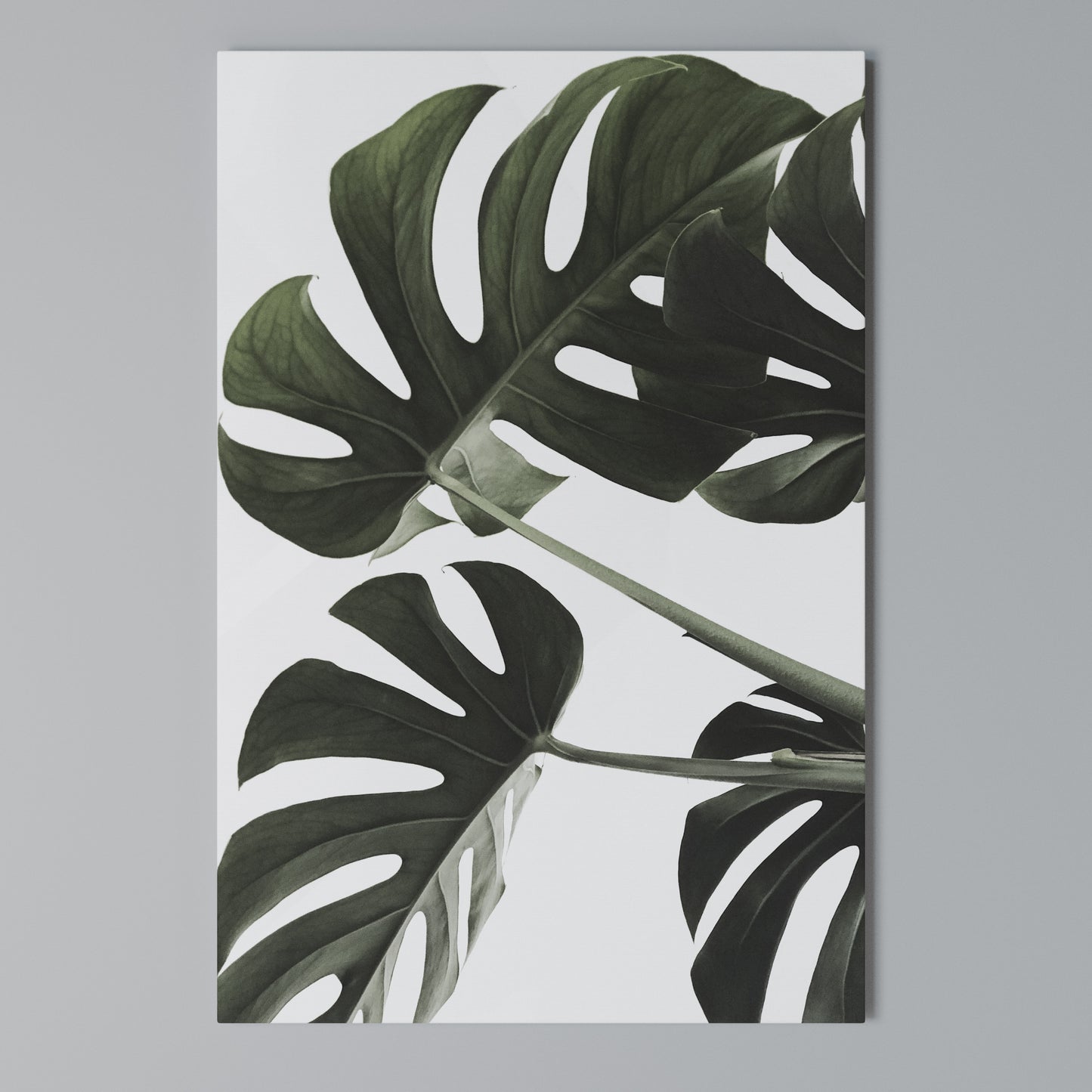 FOLIAGE FUSION Stampa su Tela Verticale