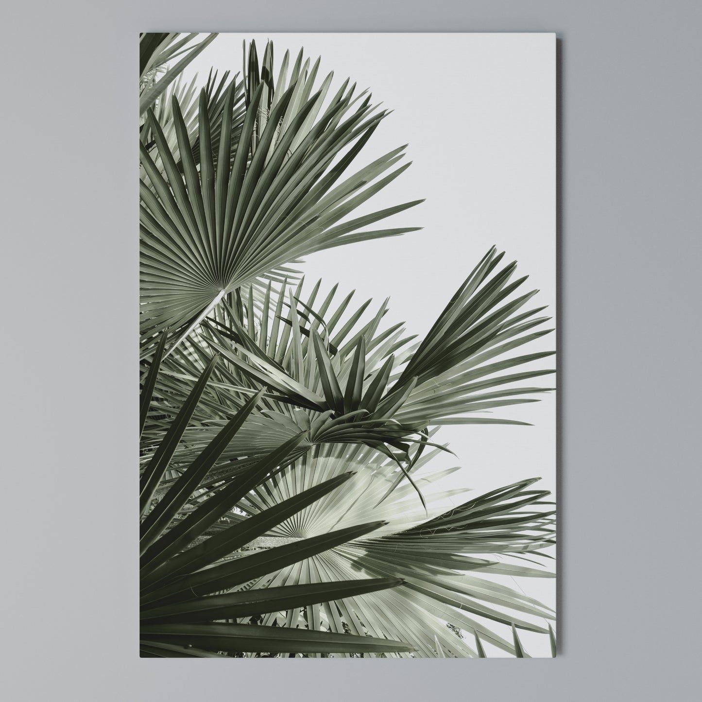 PALM PARADISE DANCE Stampa su Tela Verticale