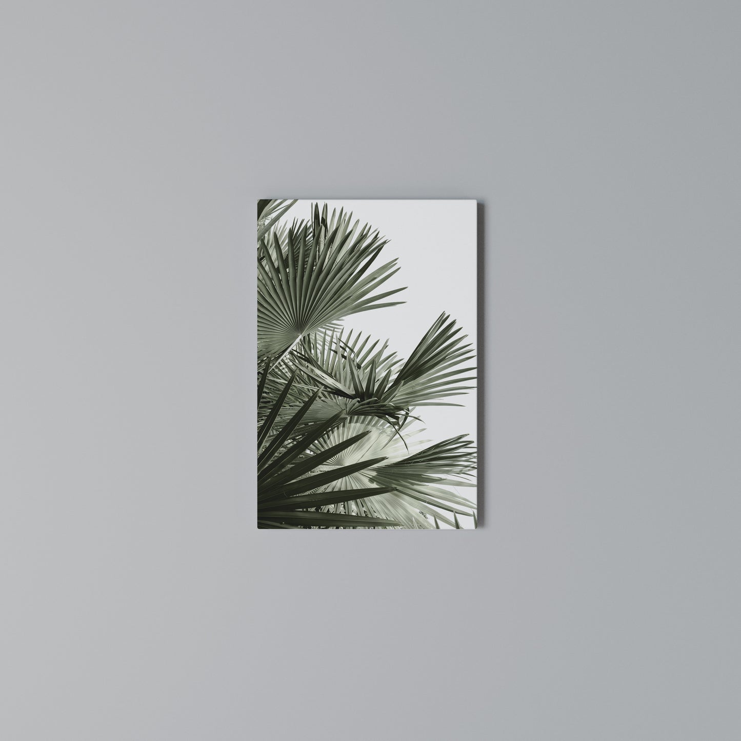 PALM PARADISE DANCE Stampa su Tela Verticale