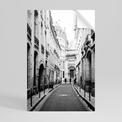 SEGRET PATHWAYS SVELATI Poster verticale staccabile e attaccabile